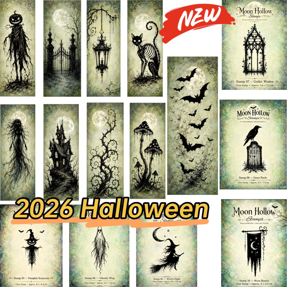 The Witch Riding a Broom Clear - Clear Silicone Stamps For Card Making recension och pris